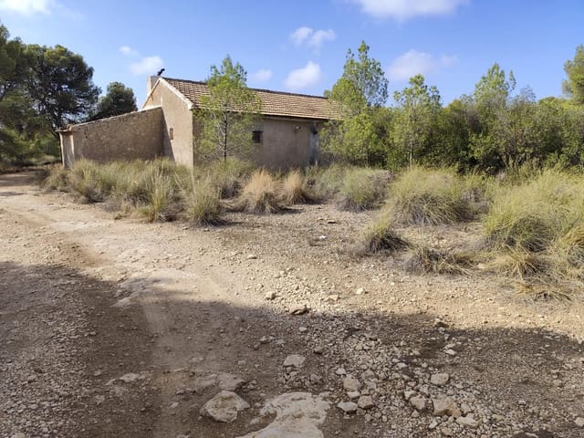 Terre non Aménagée à vendre à Totana - 70 000 € (Ref: 9468682)