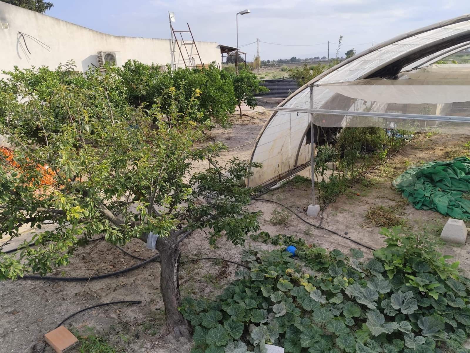 3 bedroom Finca/Country House for sale in Alhama de Murcia - € 300,000 (Ref: 9468683)