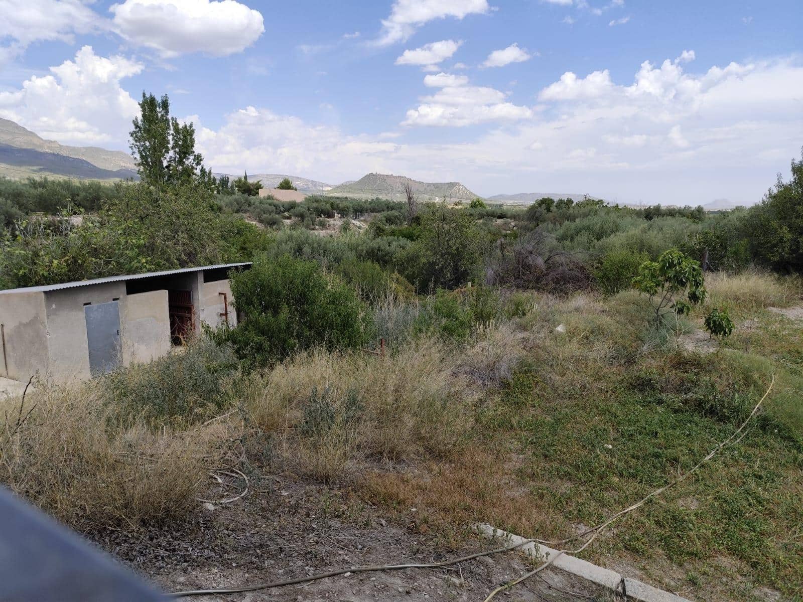 8 chambre Finca/Maison de Campagne à vendre à Moratalla avec piscine - 400 000 € (Ref: 9468685)