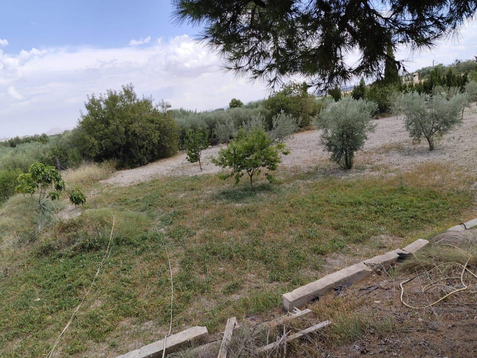 8 chambre Finca/Maison de Campagne à vendre à Moratalla avec piscine - 400 000 € (Ref: 9468685)