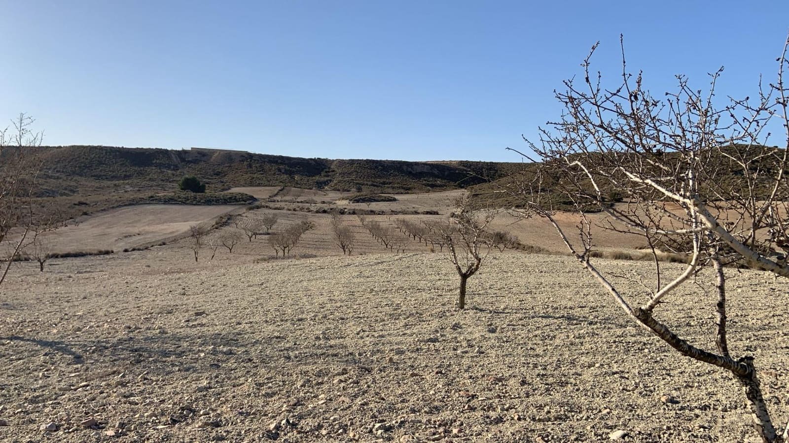 Terreno Não Urbanizado para venda em Camposol - 88 630 € (Ref: 9468687)