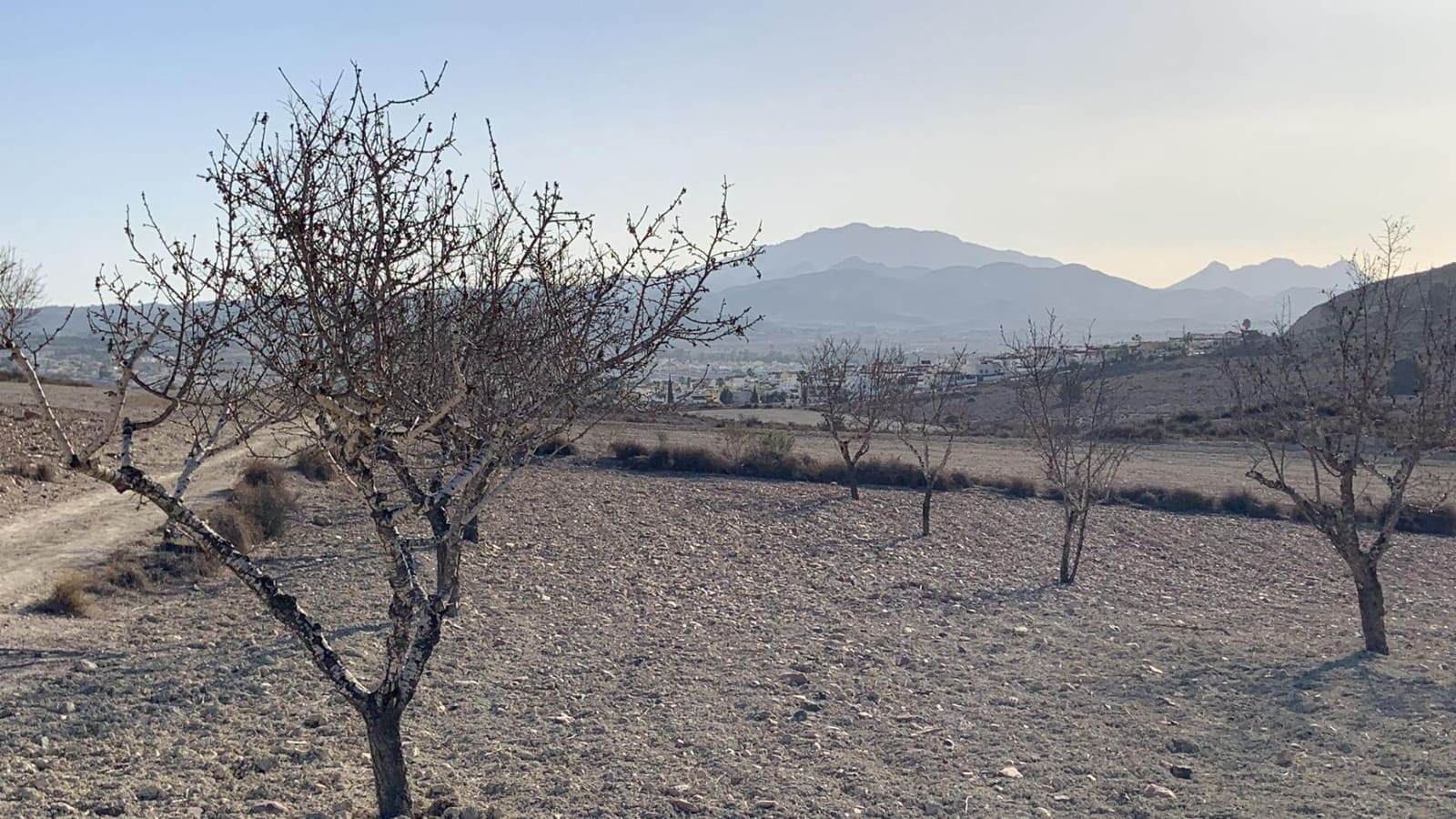 Terreno Não Urbanizado para venda em Camposol - 88 630 € (Ref: 9468687)