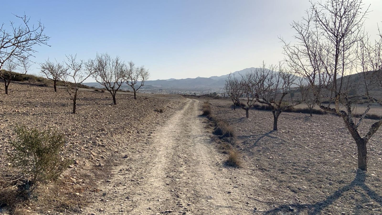 Terreno Não Urbanizado para venda em Camposol - 88 630 € (Ref: 9468687)