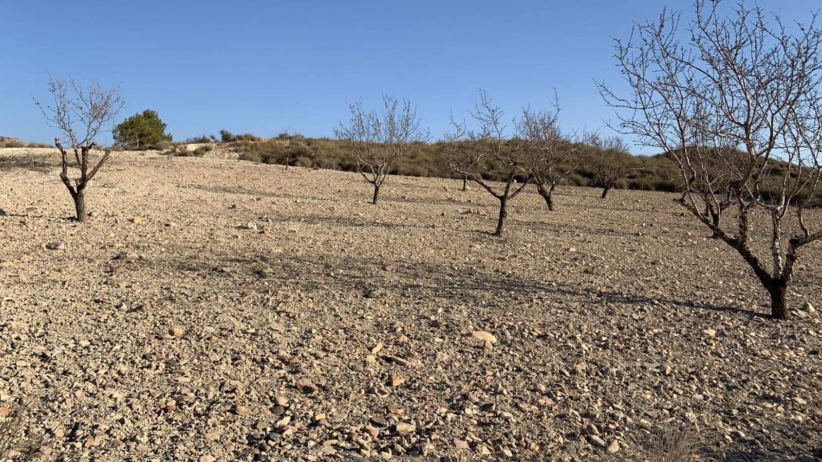 Terreno Não Urbanizado para venda em Camposol - 88 630 € (Ref: 9468687)