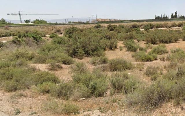 Terre non Aménagée à vendre à Totana - 64 630 € (Ref: 9468688)