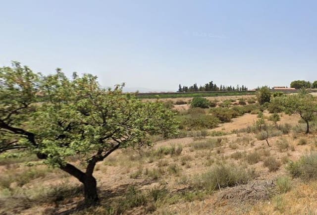 Terre non Aménagée à vendre à Totana - 64 630 € (Ref: 9468688)