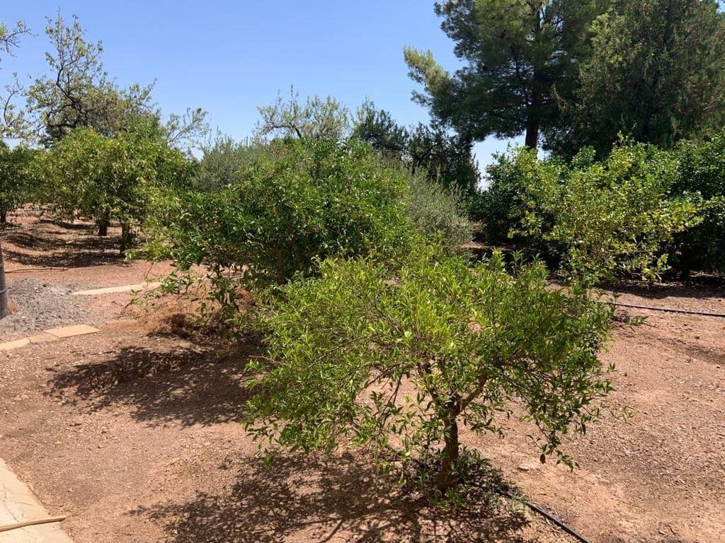 4 Zimmer Villa zu verkaufen in Totana mit Pool - 420.000 € (Ref: 9468689)