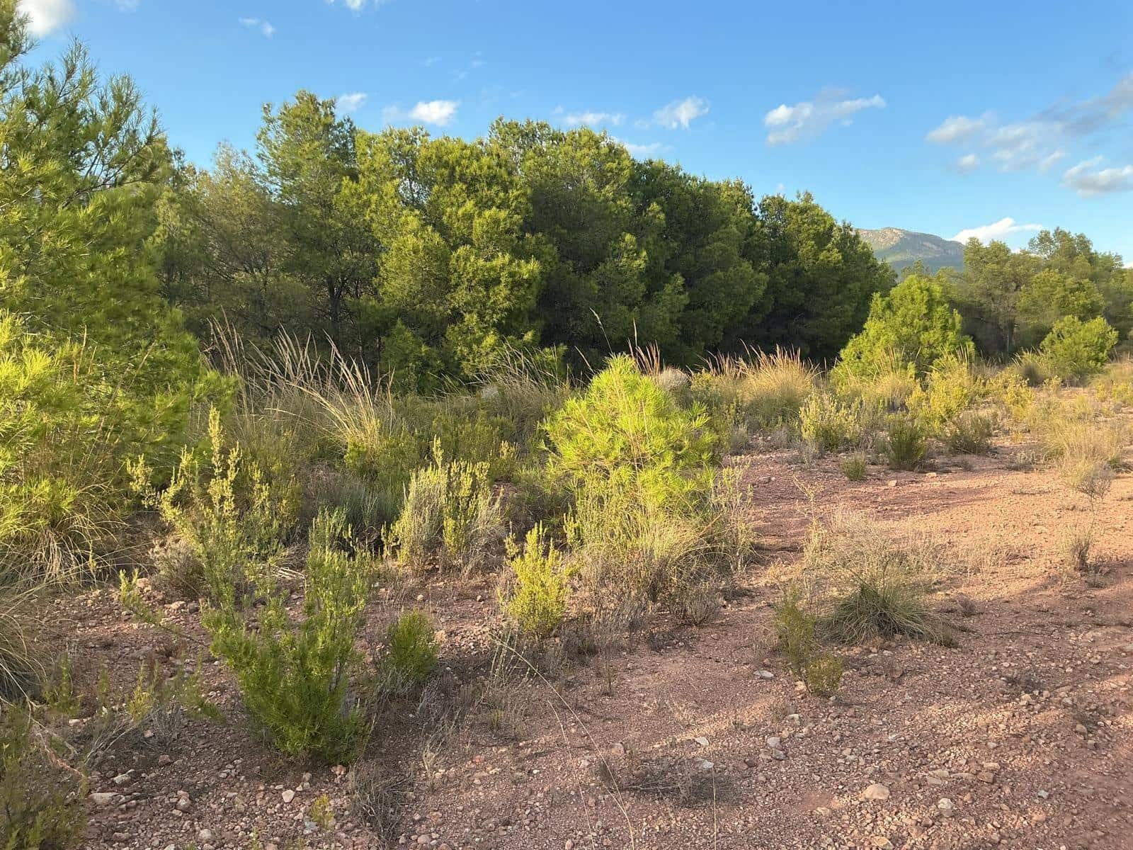 Terreno para Construção para venda em Totana - 63 630 € (Ref: 9468693)