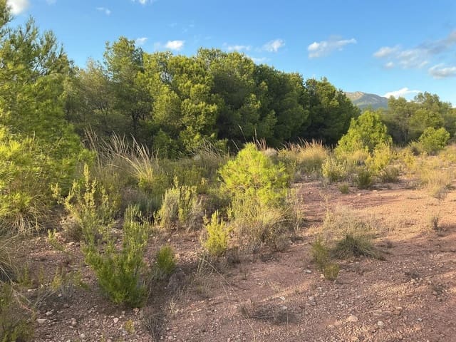 Terreno para Construção para venda em Totana - 63 630 € (Ref: 9468693)