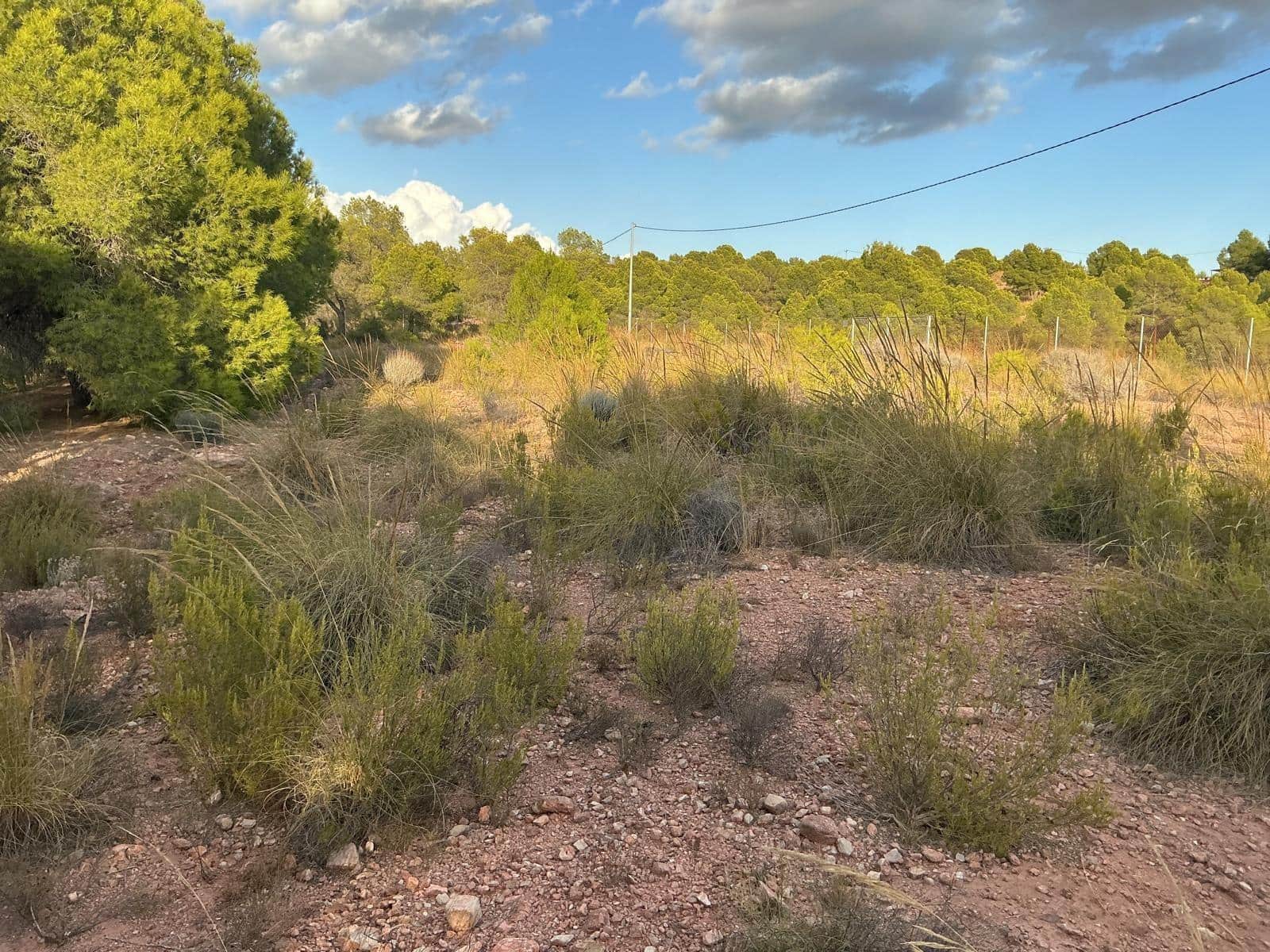 Terreno para Construção para venda em Totana - 63 630 € (Ref: 9468693)