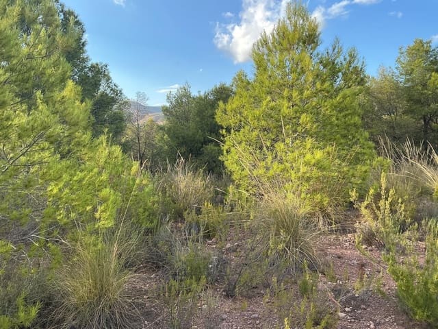 Terreno para Construção para venda em Totana - 63 630 € (Ref: 9468693)