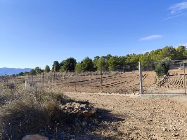 Solar/Parcela en Aledo en venta - 55.000 € (Ref: 9468696)