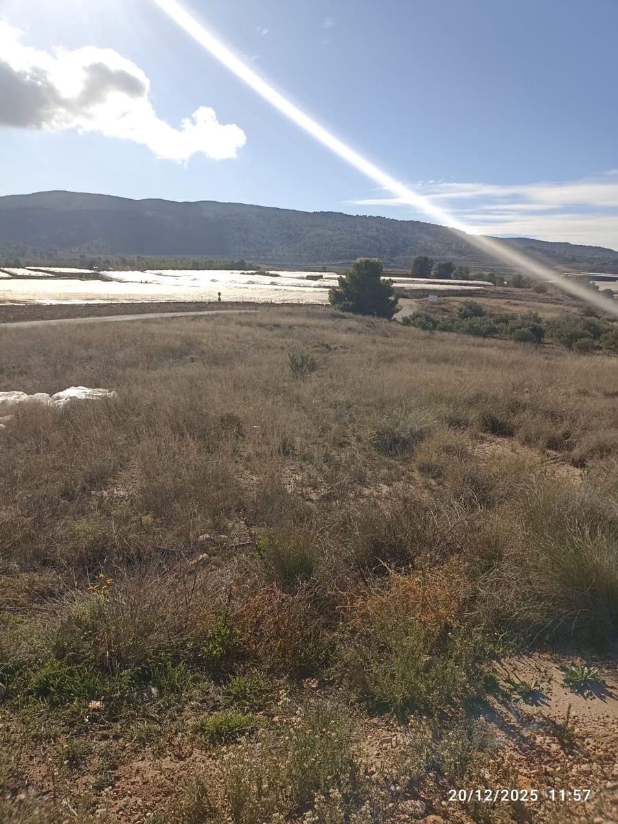 Teren niezagospodarowany na sprzedaż w Aledo - 47 000 € (Ref: 9471226)