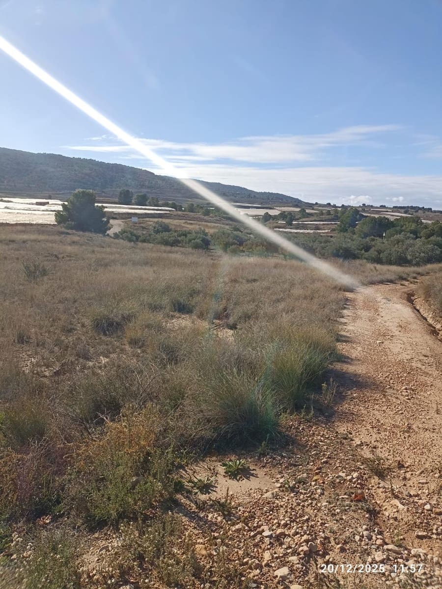 Teren niezagospodarowany na sprzedaż w Aledo - 47 000 € (Ref: 9471226)