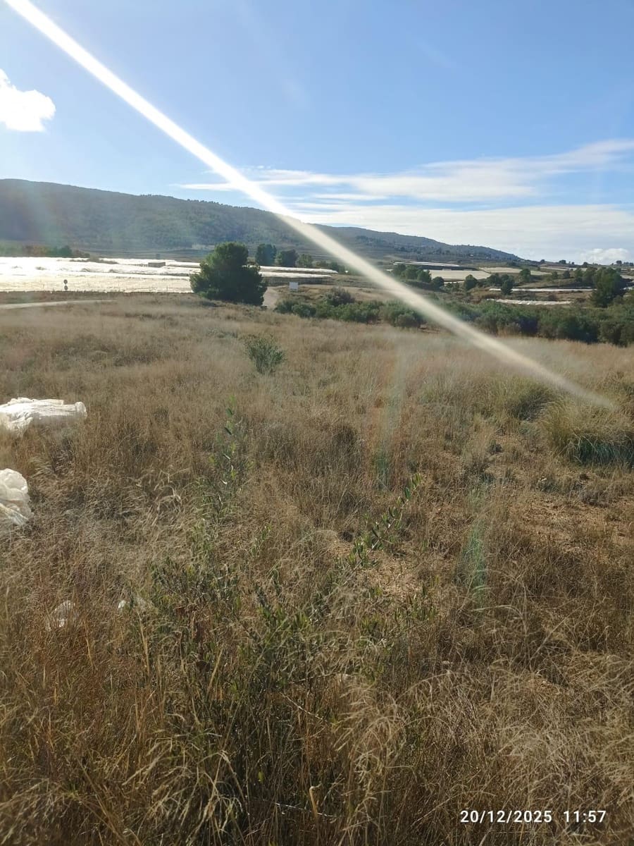 Teren niezagospodarowany na sprzedaż w Aledo - 47 000 € (Ref: 9471226)