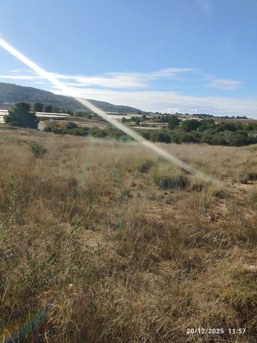 Teren niezagospodarowany na sprzedaż w Aledo - 47 000 € (Ref: 9471226)