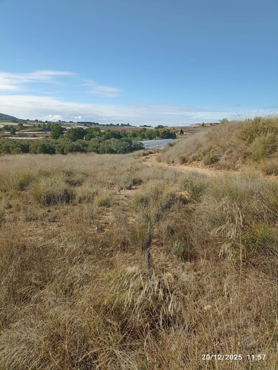 Teren niezagospodarowany na sprzedaż w Aledo - 47 000 € (Ref: 9471226)