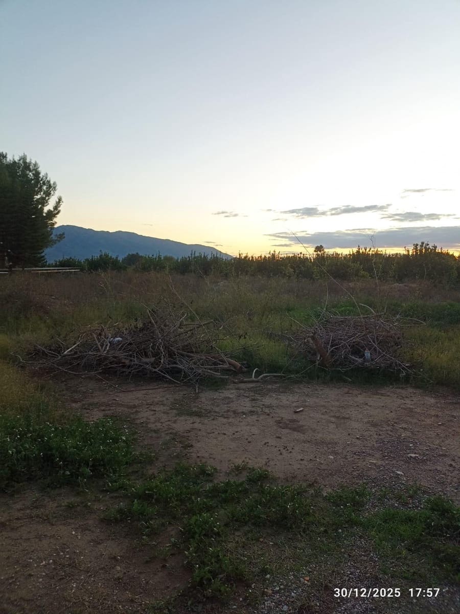 Undeveloped Land for sale in Sangonera la Seca - € 38,630 (Ref: 9486477)