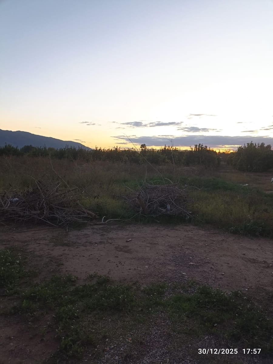 Undeveloped Land for sale in Sangonera la Seca - € 38,630 (Ref: 9486477)