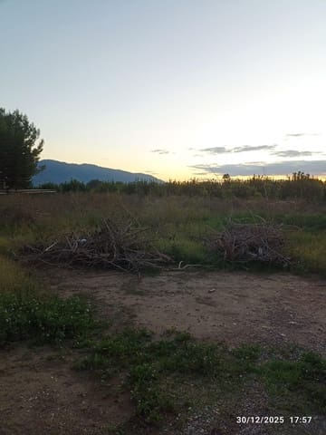 Terre non Aménagée à vendre à Sangonera la Seca, Murcie ville - 38 630 € (Ref: 9486477)