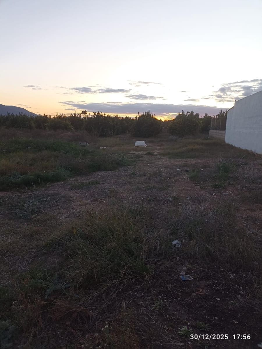 Undeveloped Land for sale in Sangonera la Seca - € 38,630 (Ref: 9486477)