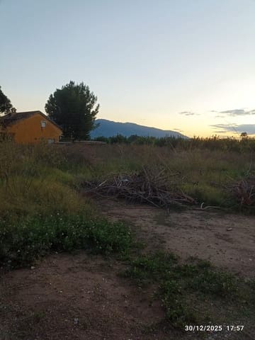 Terre non Aménagée à vendre à Sangonera la Seca, Murcie ville - 38 630 € (Ref: 9486477)