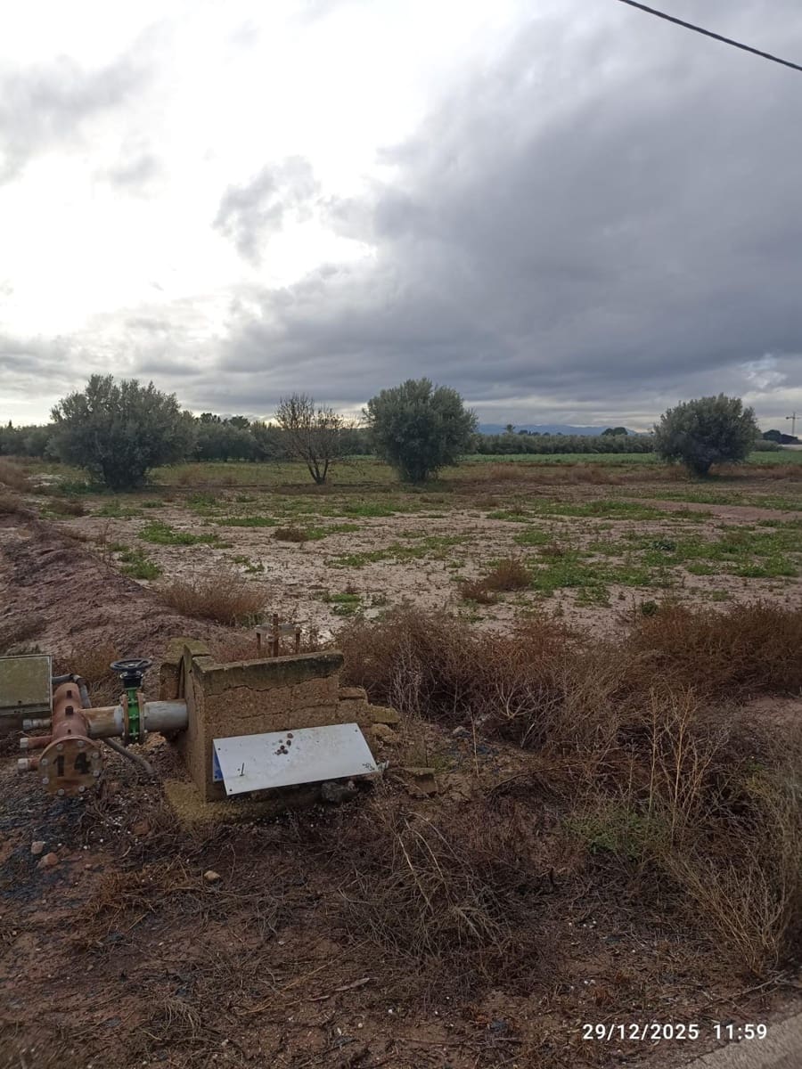 Ubebygd land til salgs i Totana - € 39 630 (Ref: 9519259)