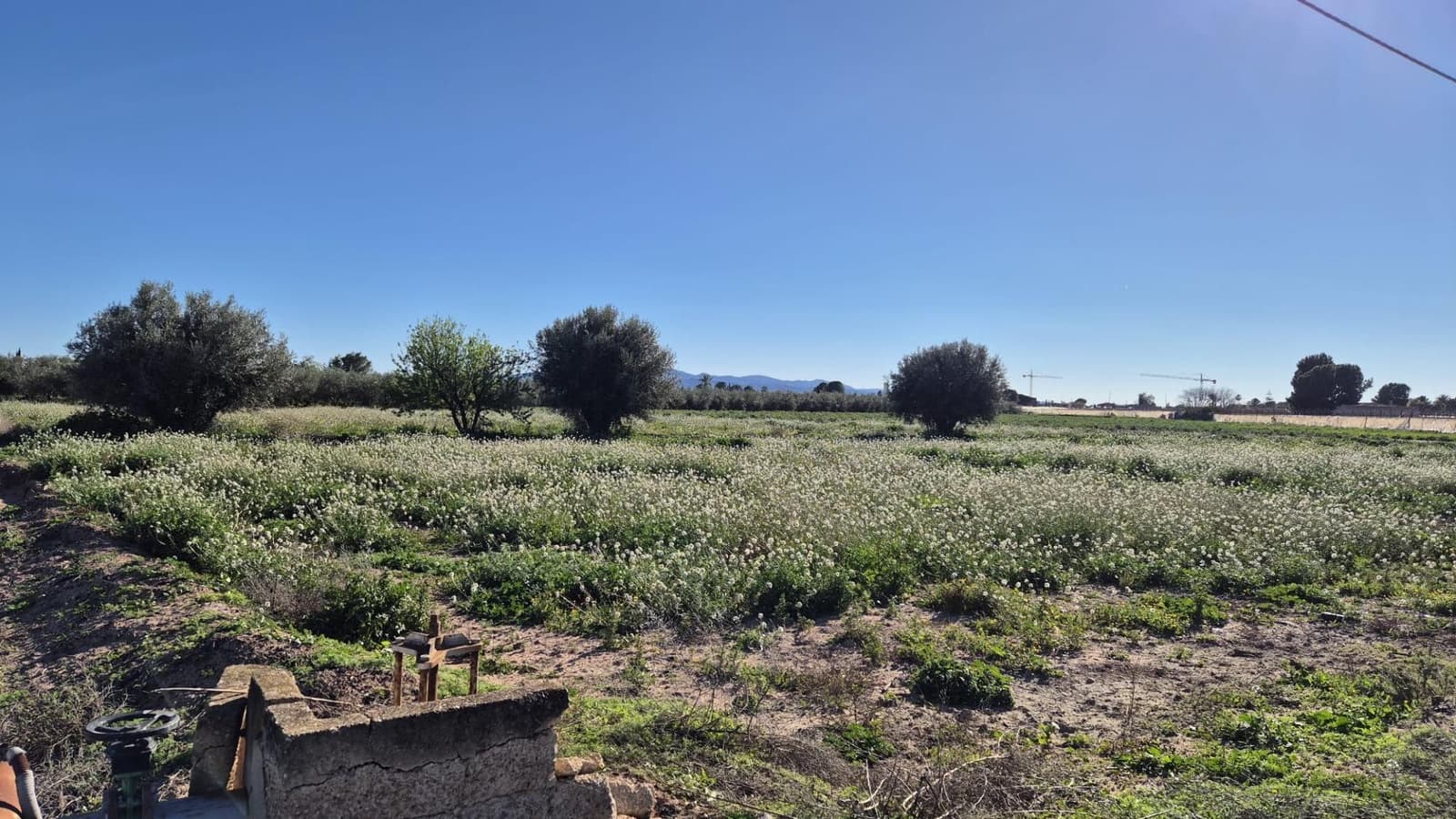 Ubebygd land til salgs i Totana - € 39 630 (Ref: 9519259)