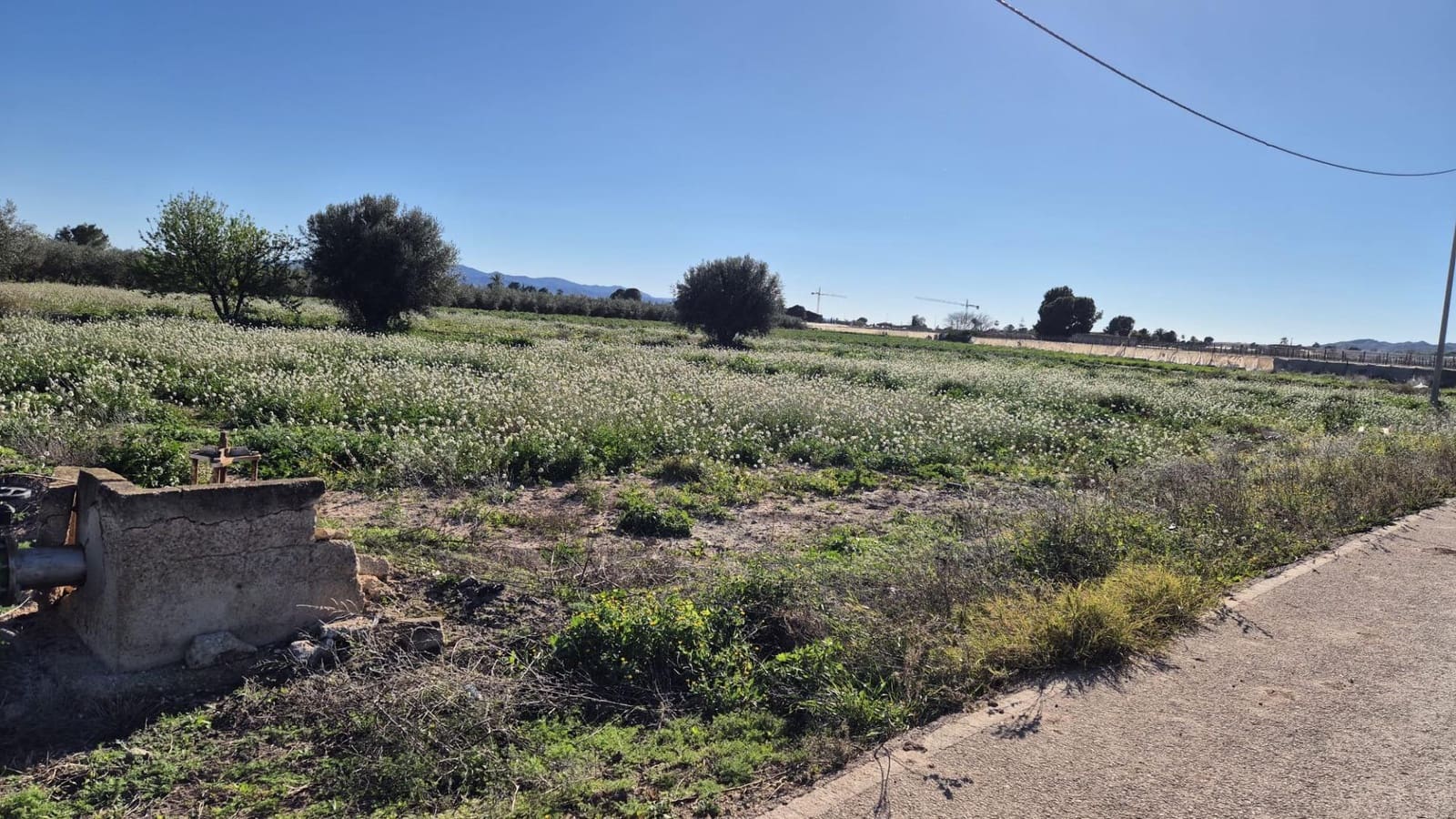 Ubebygd land til salgs i Totana - € 39 630 (Ref: 9519259)