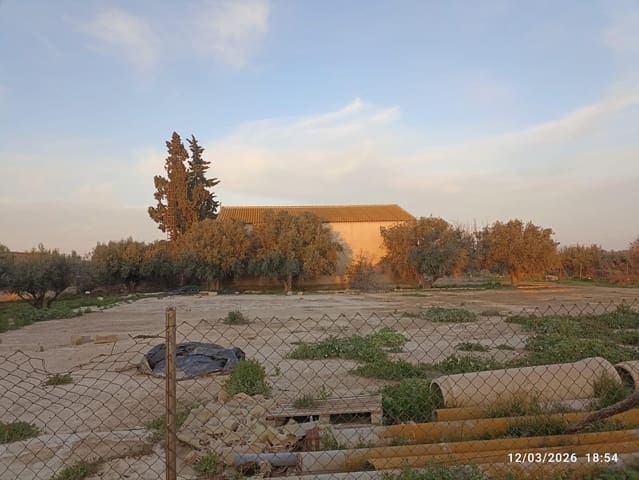 Terreno Non Edificato in vendita in Totana - 86.630 € (Rif: 9677654)