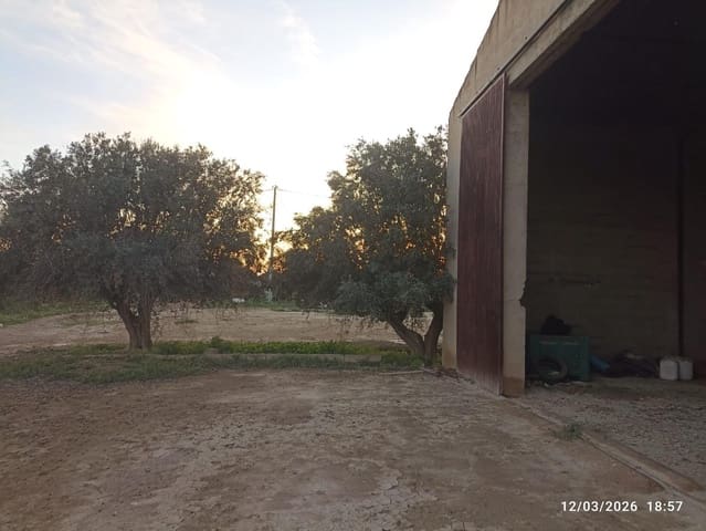 Terreno Non Edificato in vendita in Totana - 86.630 € (Rif: 9677654)