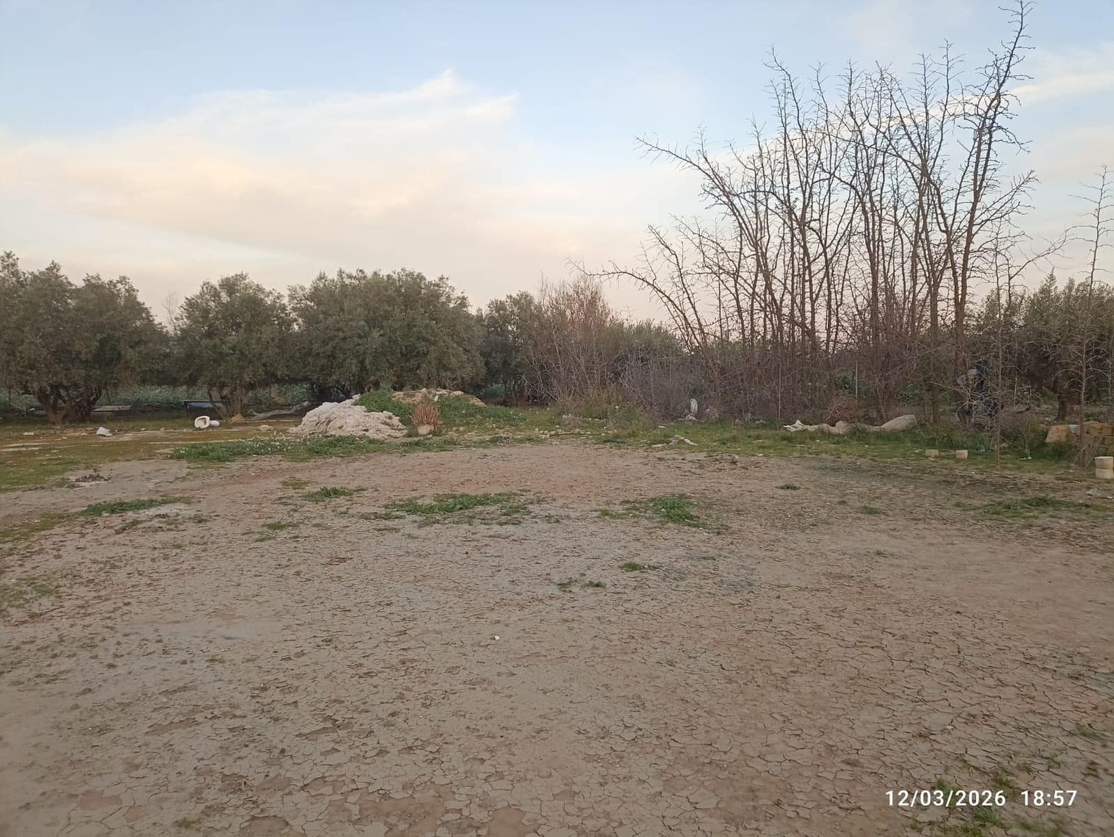 Terre non Aménagée à vendre à Totana - 86 630 € (Ref: 9677654)