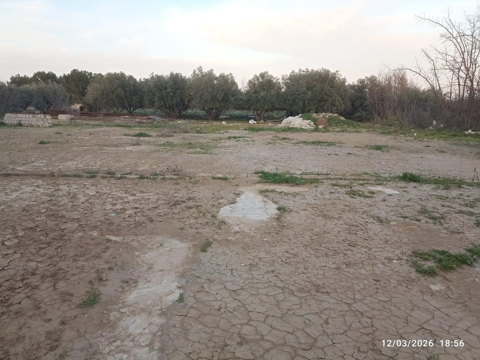 Terre non Aménagée à vendre à Totana - 86 630 € (Ref: 9677654)