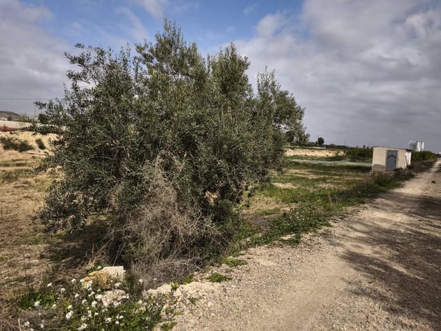 Grond te koop in Librilla - € 30.000 (Ref: 9946253)