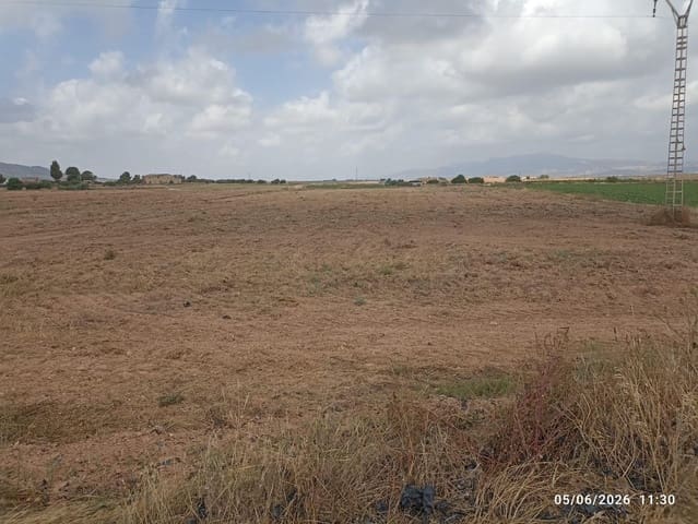 Terreno Não Urbanizado para venda em Totana - 35 500 € (Ref: 9946254)