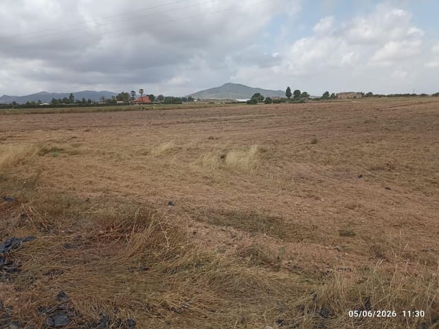 Terreno Não Urbanizado para venda em Totana - 35 500 € (Ref: 9946254)