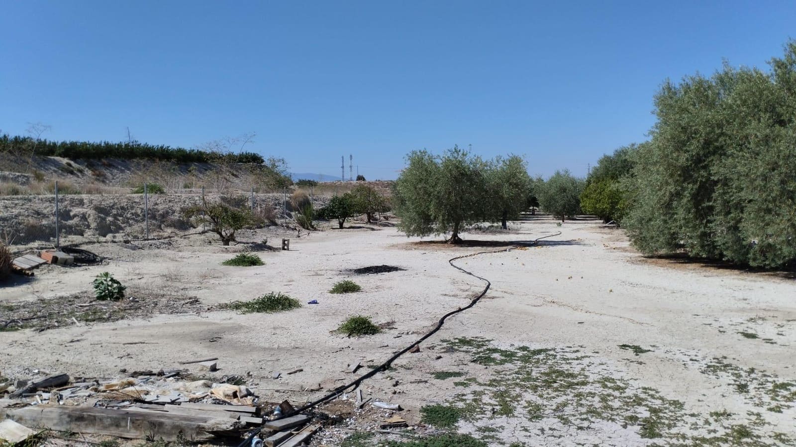 Terreno/Finca Rústica en Molina de Segura en venta - 42.000 € (Ref: 9948268)