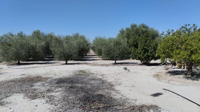 Landgrundstück zu verkaufen in Molina de Segura - 42.000 € (Ref: 9948268)
