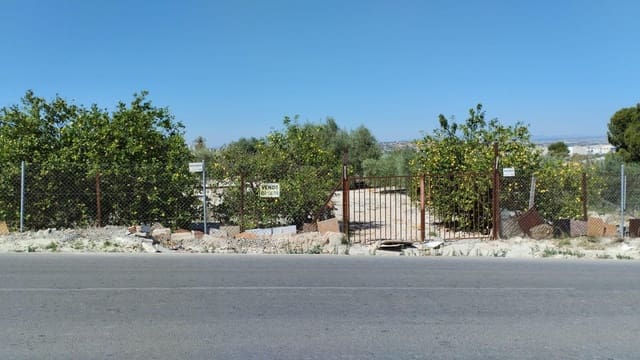Landgrundstück zu verkaufen in Molina de Segura - 42.000 € (Ref: 9948268)