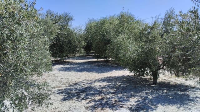 Landgrundstück zu verkaufen in Molina de Segura - 42.000 € (Ref: 9948268)