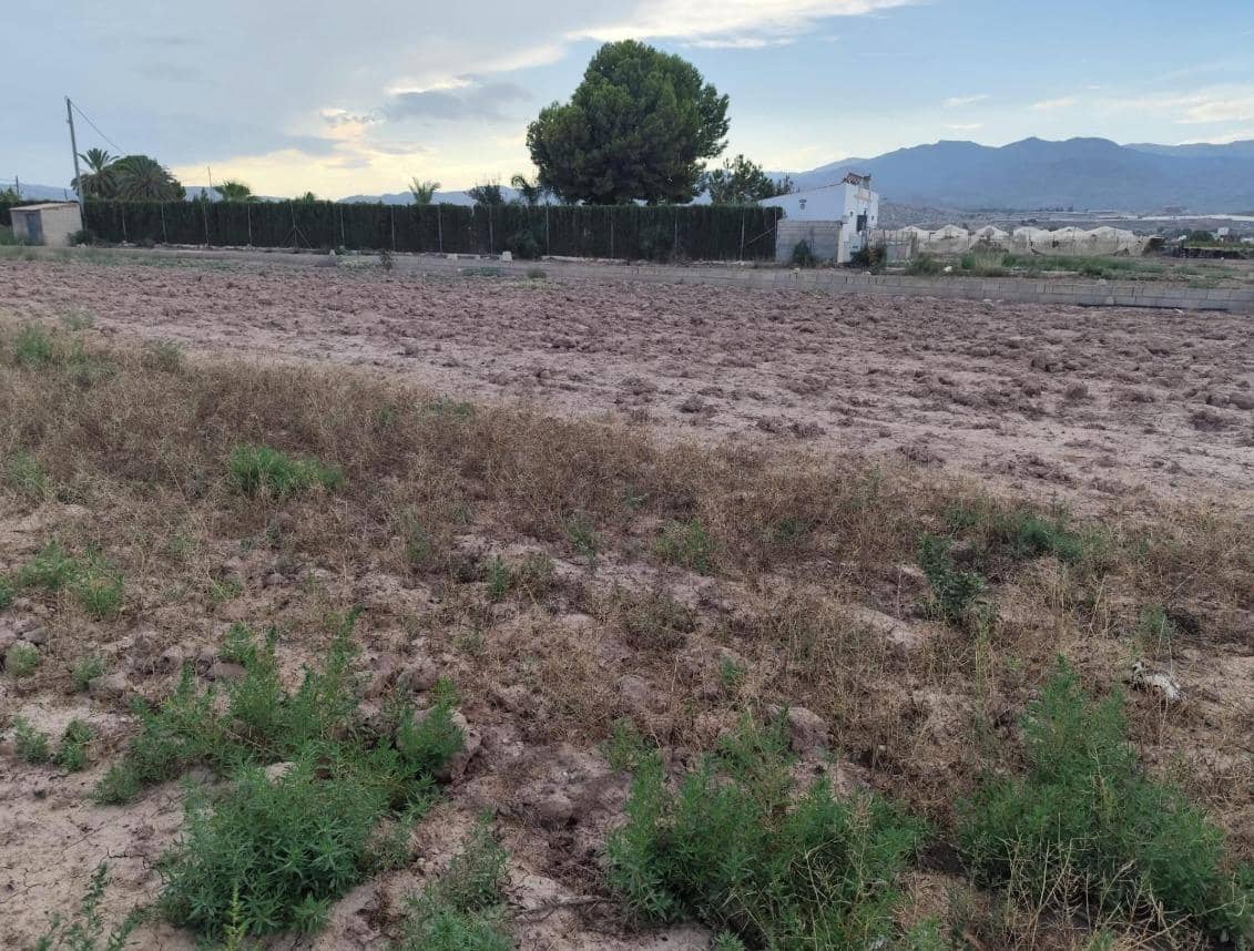 Landgrundstück zu verkaufen in Totana - 46.000 € (Ref: 9948269)