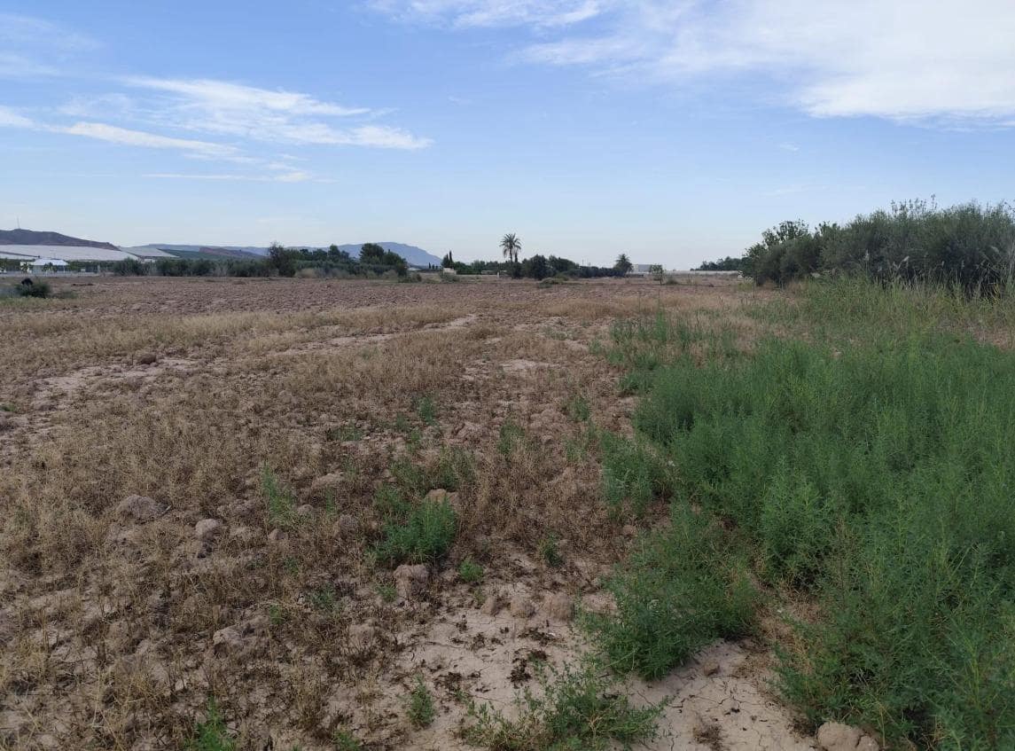 Landgrundstück zu verkaufen in Totana - 46.000 € (Ref: 9948269)