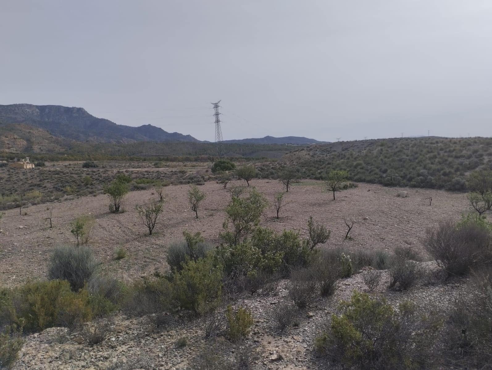 Undeveloped Land for sale in La Hoya - € 83,630 (Ref: 9948274)