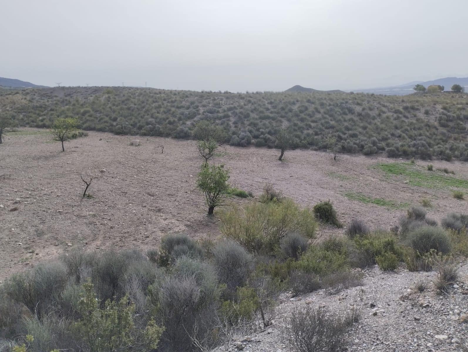 Undeveloped Land for sale in La Hoya - € 83,630 (Ref: 9948274)