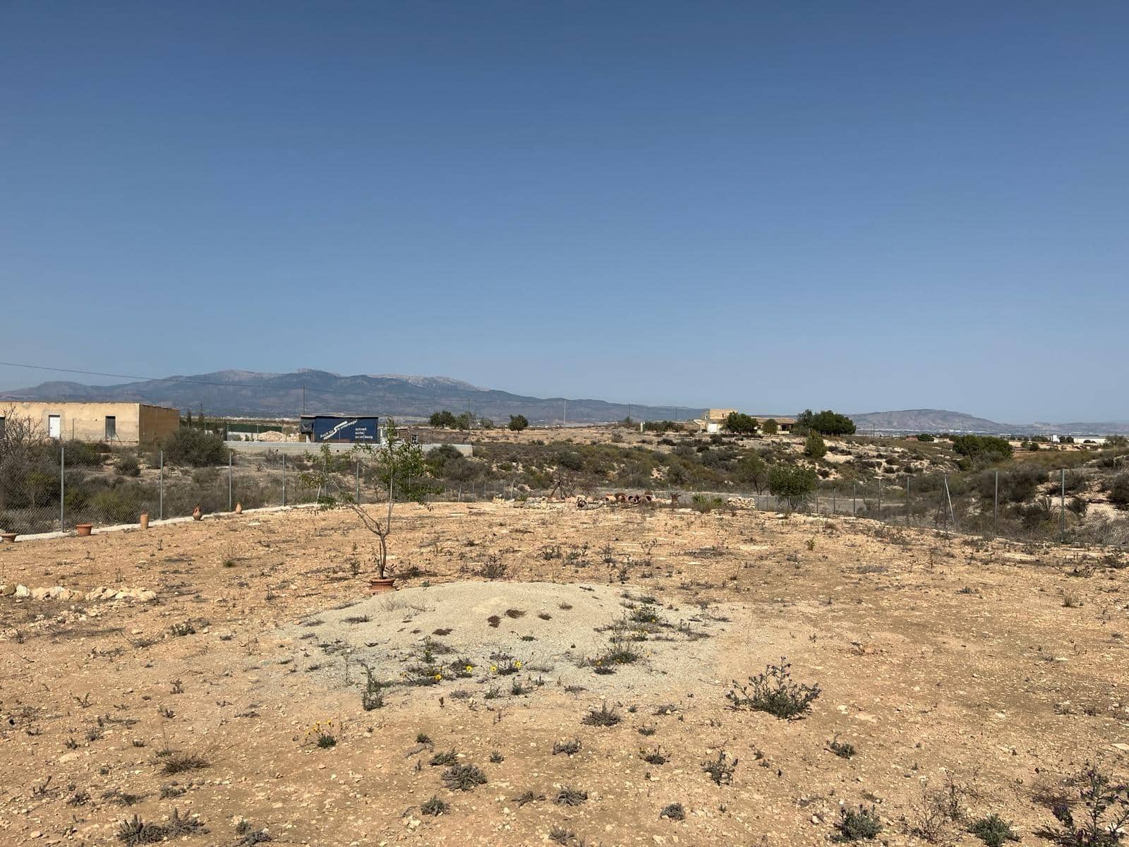 Local Commercial à vendre à El Pareton - 49 000 € (Ref: 9948276)