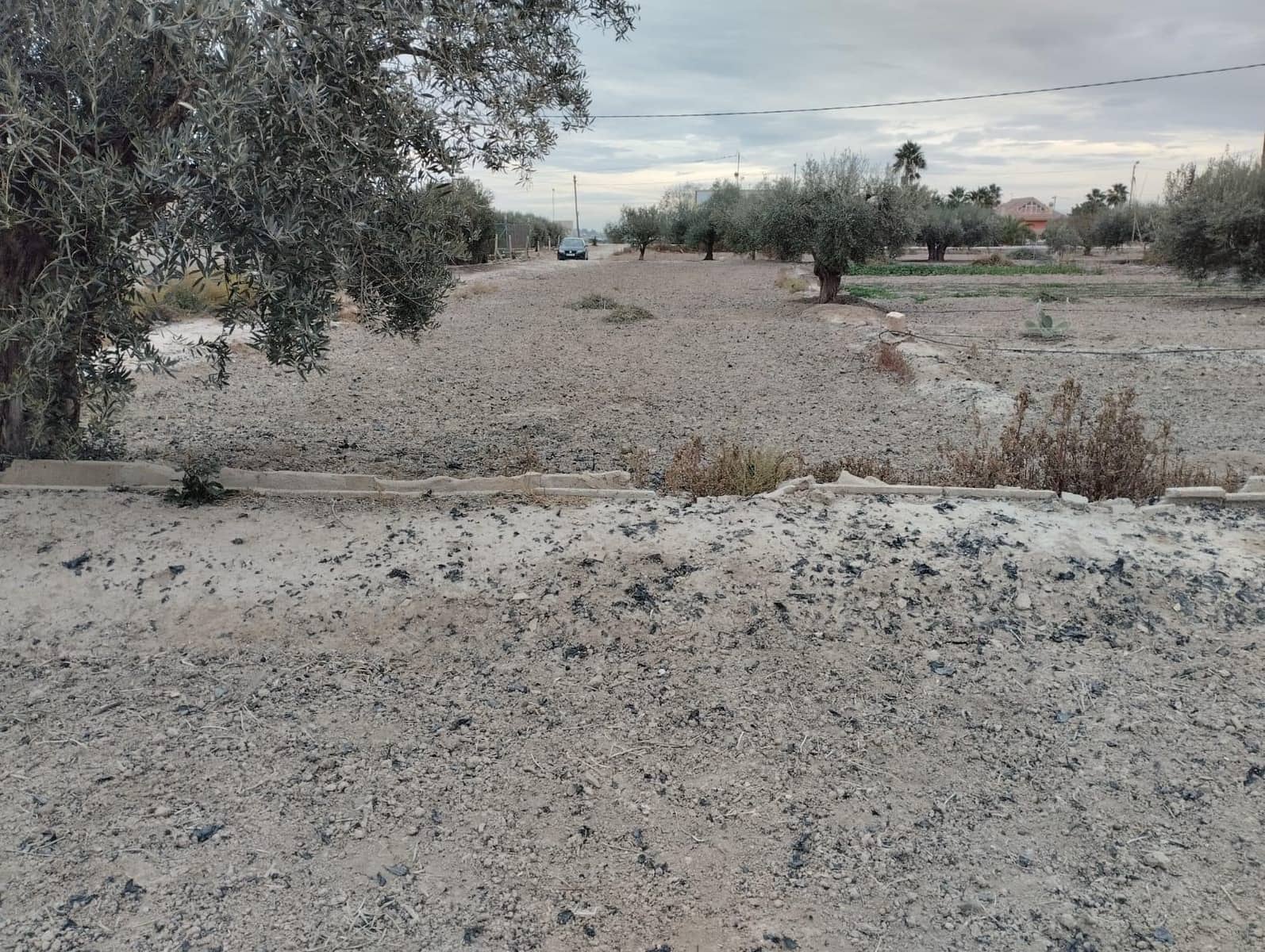 Terreno Non Edificato in vendita in La Hoya - 63.630 € (Rif: 9948277)