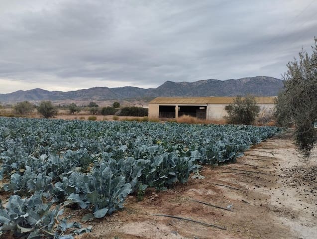 Grunde uden byggetilladelser til salg i La Hoya, Lorca - € 63.630 (Ref: 9948277)
