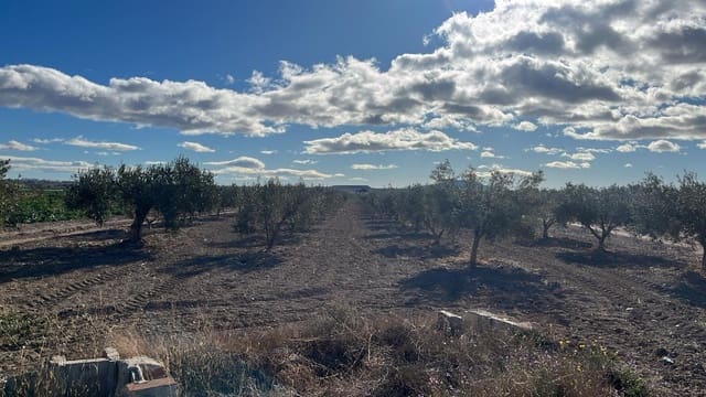Mark till salu i Totana - 18 000 € (Ref: 9948281)