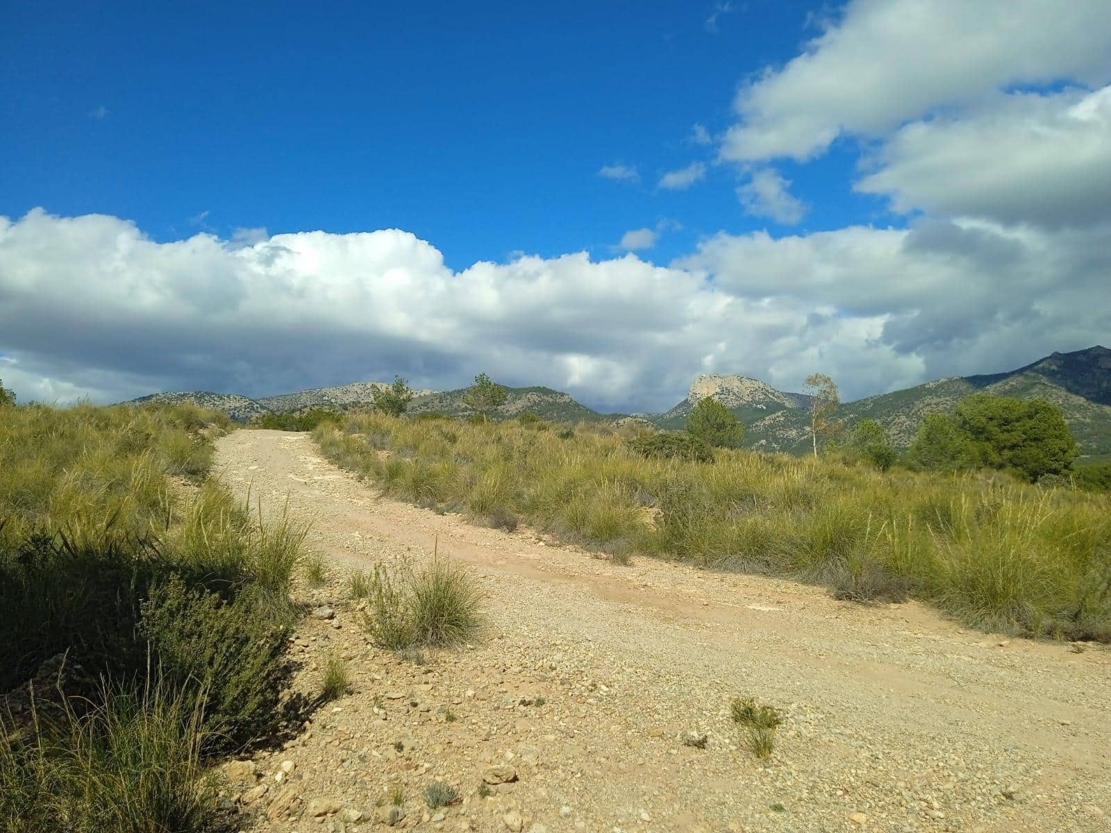 Ubebygd land til salgs i Aledo - € 160 000 (Ref: 9948284)