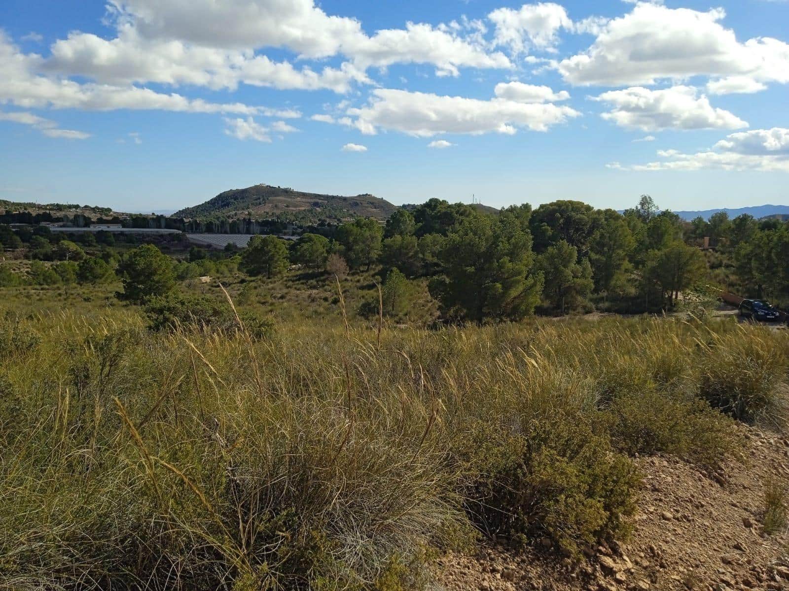 Ubebygd land til salgs i Aledo - € 160 000 (Ref: 9948284)